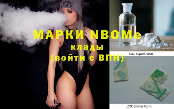 стаф Белокуриха