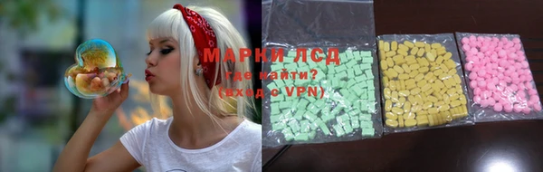 стаф Белокуриха