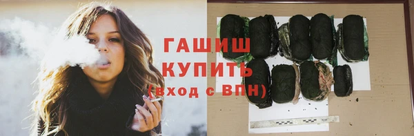 стаф Белокуриха