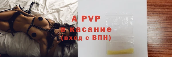 стаф Белокуриха