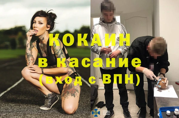 стаф Белокуриха