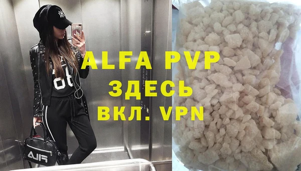 стаф Белокуриха