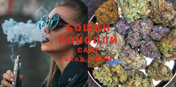 стаф Белокуриха