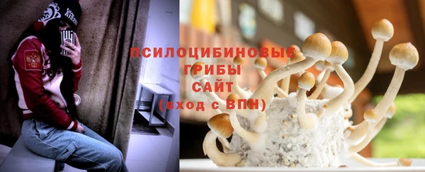 стаф Белокуриха