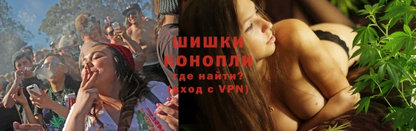 стаф Белокуриха